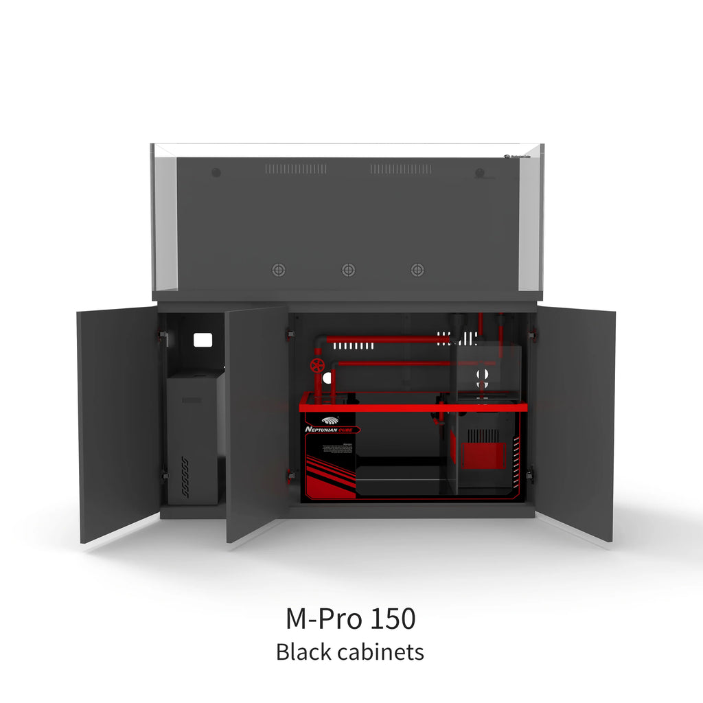 Black open door