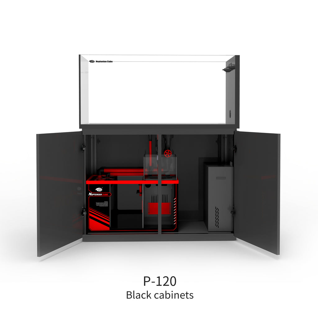Black open door