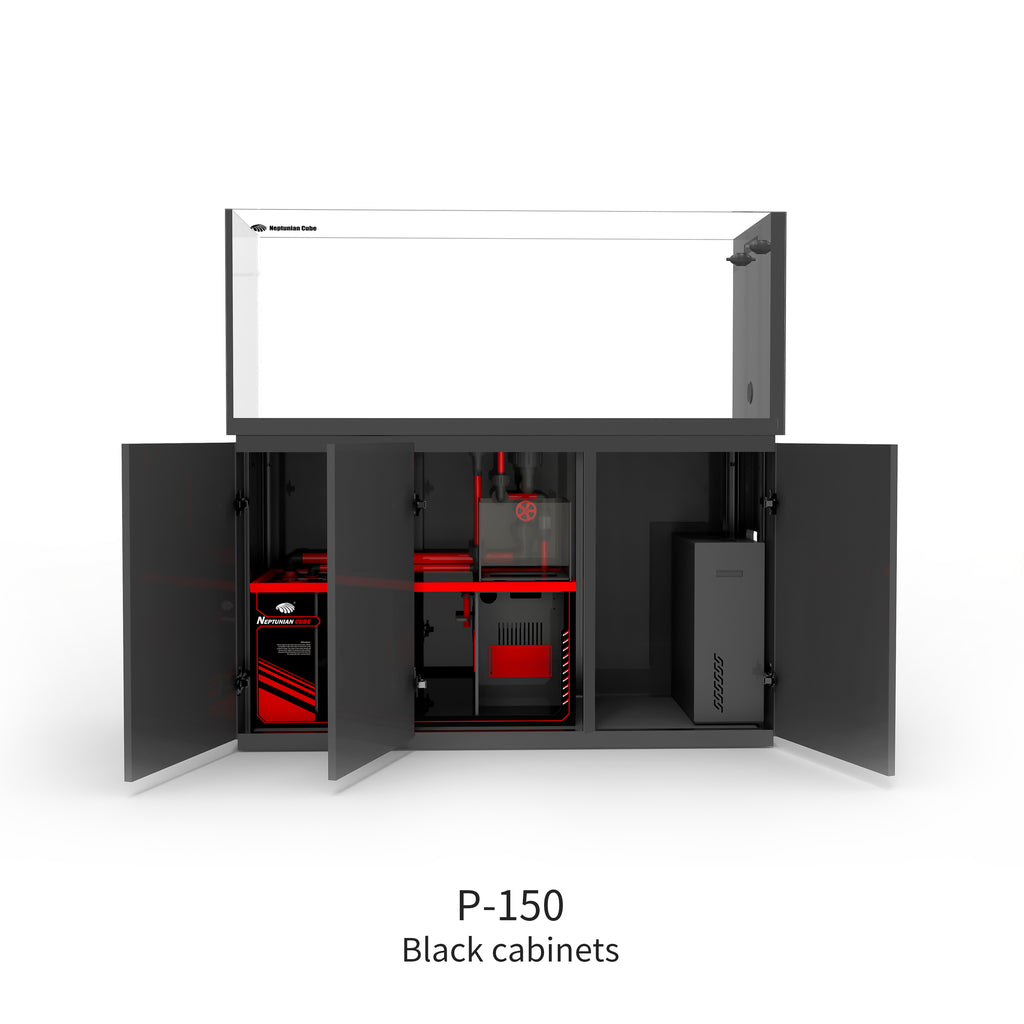 Black open door