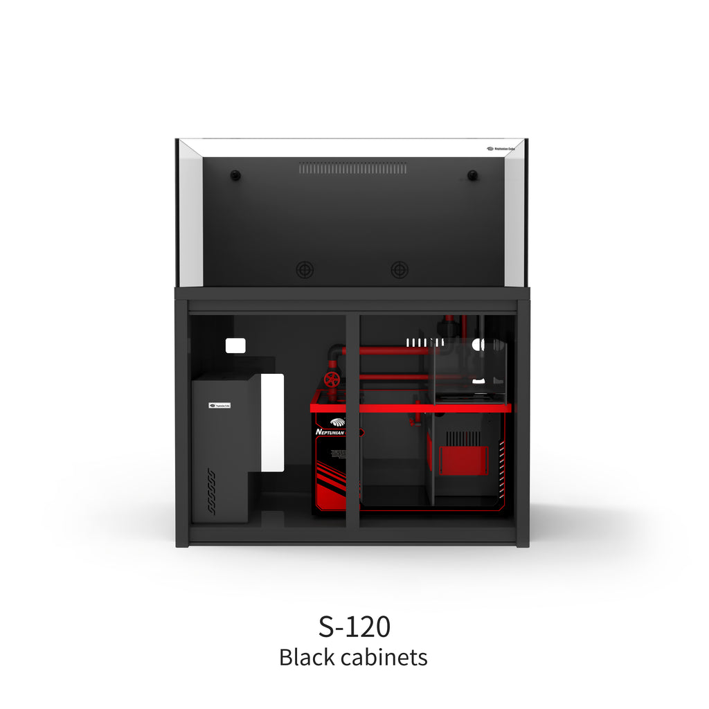 Black open door