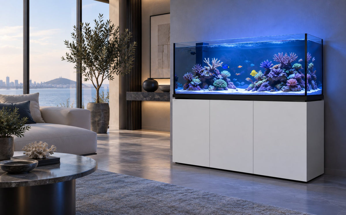 A-200 reef system on a white cabinet in a living room with a sea view