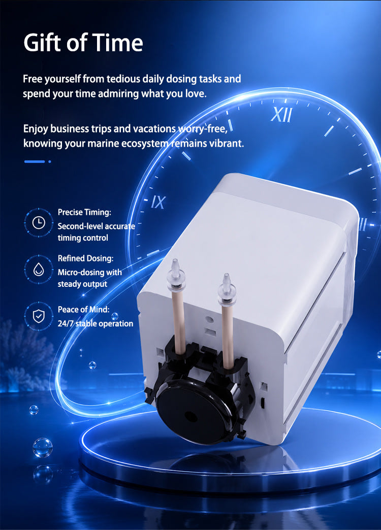 Dosing Pump – image 4